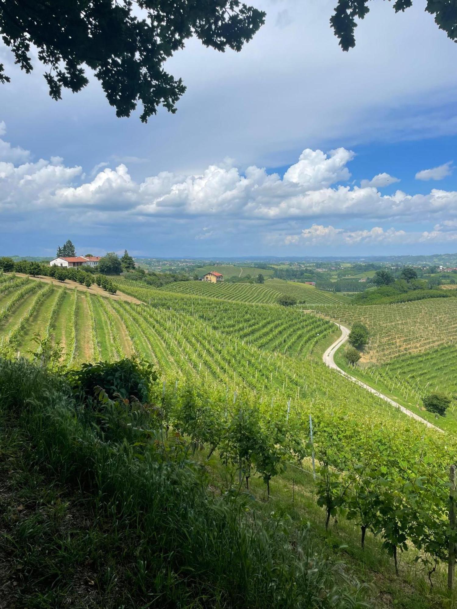 Ca' Colomba Villa San Damiano dʼAsti Exterior foto